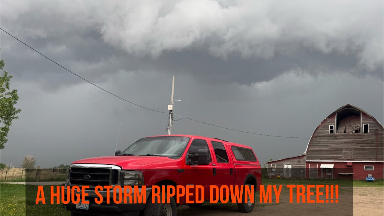 DIY storm damage tree removal (tornado in the area) - YouTube