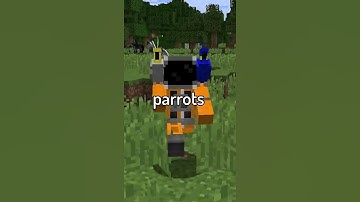 Mojang made a big mistake... (parrots)