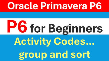 Activity Codes and group and sort Activities in Primavera P6