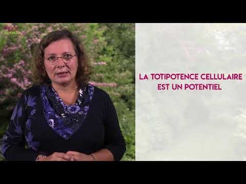 Vidéo: La culture tissulaire est-elle une multiplication végétative ?