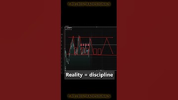 Luck? Or Discipline? 🤔