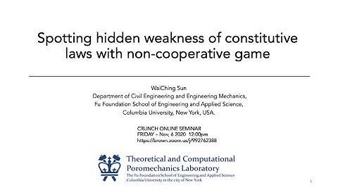 Brown University Seminar: Finding weakness of constitutive laws in non-cooperative game