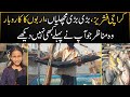 Karachi Fisheries unseen visuals | Mahrosh Khan | Bipta