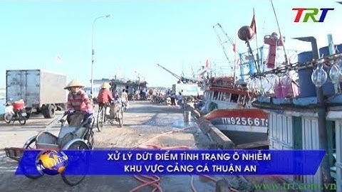 Xử lý dứt điểm tình trạng ô nhiễm khu vực cảng cá Thuận An