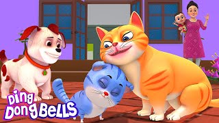 म्याऊं म्याऊं बिल्ली करती  | Meow Meow Billi Karti v5 | Hindi Rhymes for Children | Ding Dong Bells by Ding Dong Bells 1,008,448 views 2 months ago 2 minutes, 28 seconds