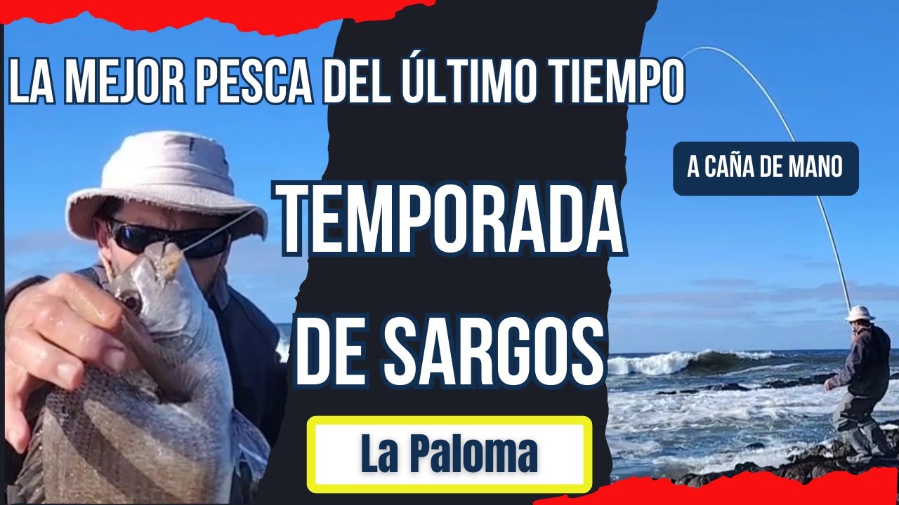 Sargos a caña de mano La Paloma