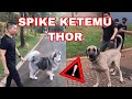 SPIKE Takut ngga sama THOR??? VLOG BERBAHAYA !