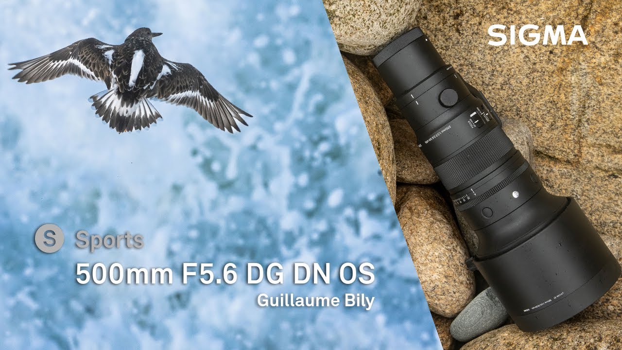 Wildlife Photography with the SIGMA 500mm F5.6 DG DN OS | Sports - Guillaume Bily