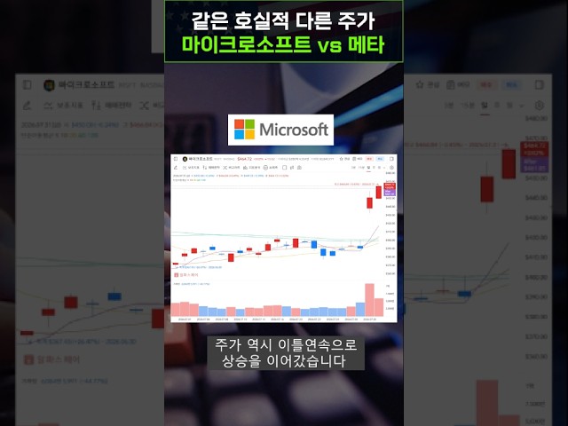 마이크로소프트는 오르고 메타는 빠졌다, 왜?