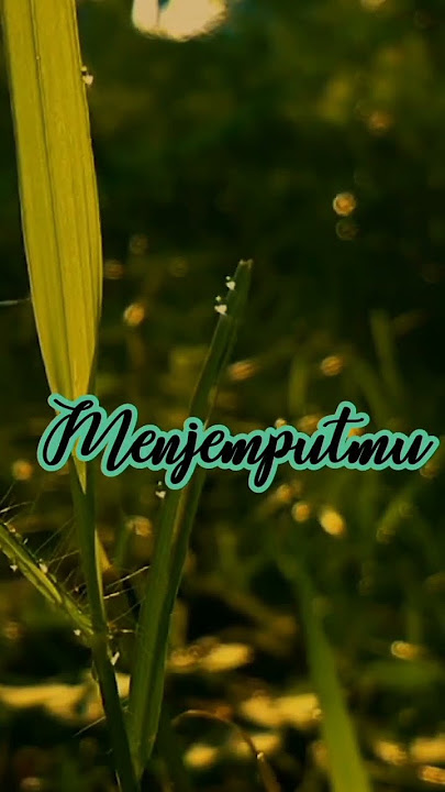 MENUNGGU KAMU DISINI_ANJI STORY WA