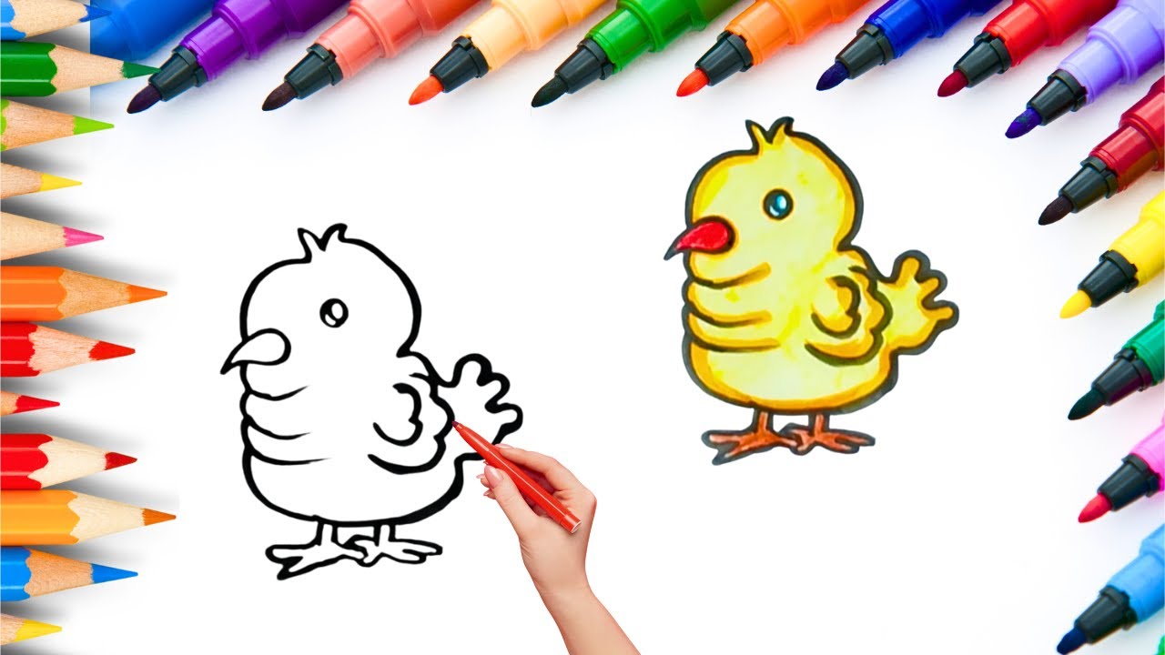 How To Draw cute Baby Chicken Drawing, Painting & Coloring For Kids and Toddlers_🌈🎨