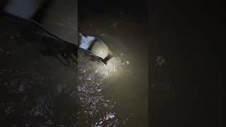 Achei Um Lindo Anel Com Detector De Metal