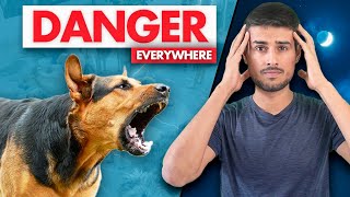 India has a Big Stray Dogs Problem | Dhruv Rathee screenshot 4