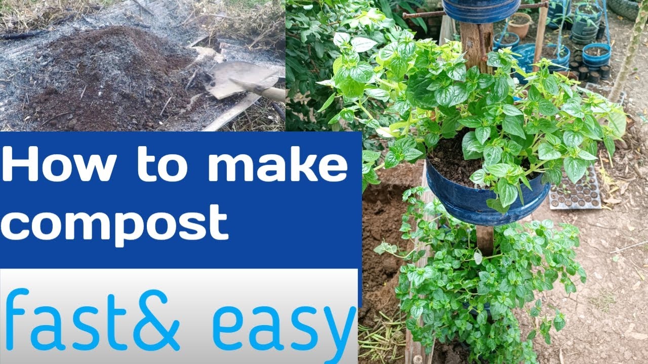 How To Make Compost At Home /fast & easy/ cow dung