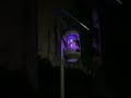 🌙 UV Mosquito Killer Lamp Working Outdoors at Night–Real Test & Review#UVmosquitokiller #bugzapper