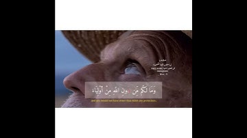 سورة هود - #عبدالرحمن_الشهري