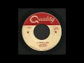 Jimmy merrill  a womans mind  rock  roll 45