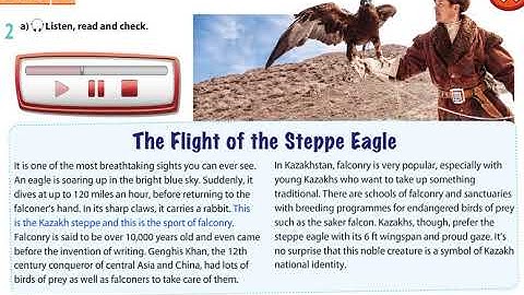 Steppe  Eagle