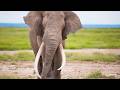 LIVE at the waterhole - 22 June 2026