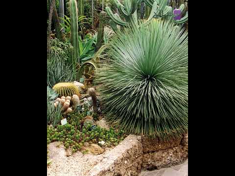 اجمل خمس اماكن تسطيع زيارتها في لينز