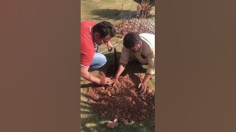 wetting front detector installation