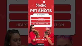 Affordable Pet Vaccinations