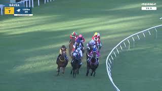 Vidéo de la course PMU PREMIO CLAUSTRO