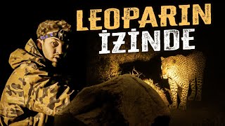 "MIDNIGHT JOURNEY TO THE LEOPARD TRAP IN THE WILDERNESS! (ENCOUNTERED WOLVES, BEARS, AND LYNX!)"