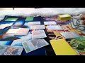 One Piece Learn Together Deck Set- Game 1 Green Zoro VS. Blue/Yellow Nami