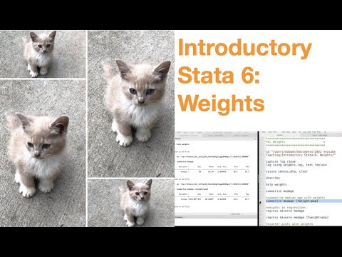Introductory Stata 6: Weights