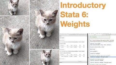 Introductory Stata 6: Weights