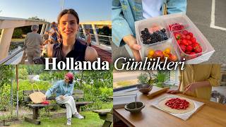 Hollanda’da 2 Gün: Meyve toplama, Tatlı tarifi, Güneş tutulması