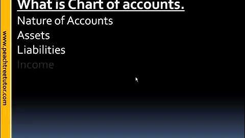 Peachtree   Urdu Tutorial Part 4 by UrduTutorialTube   YouTube