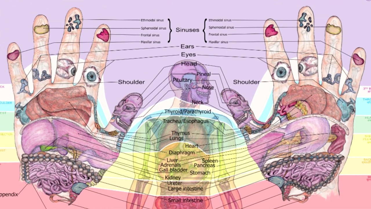 Balancingtouchs Reflexology Hand Chart Youtube