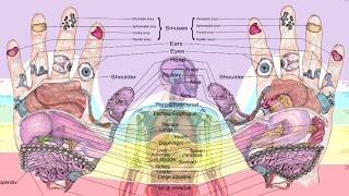 Detailed Balancingtouch's Reflexology Hand Chart Profile