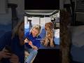 Welches Sitzbezug-Design passt zu deinem Haustier? Teil 2 🐈‍⬛🐕💕 #vanlife #vanlifedogs