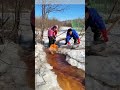 Chasing Fish Through Ice: How Winter Streams Become Natural Aquariums