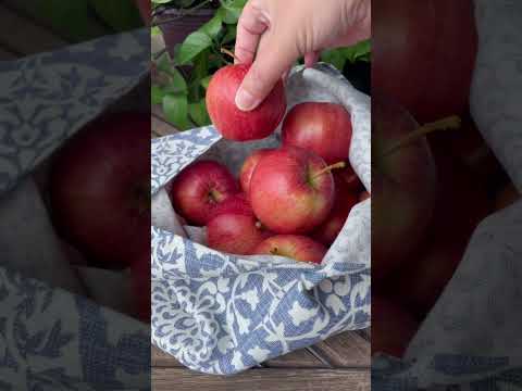 apple garden bags