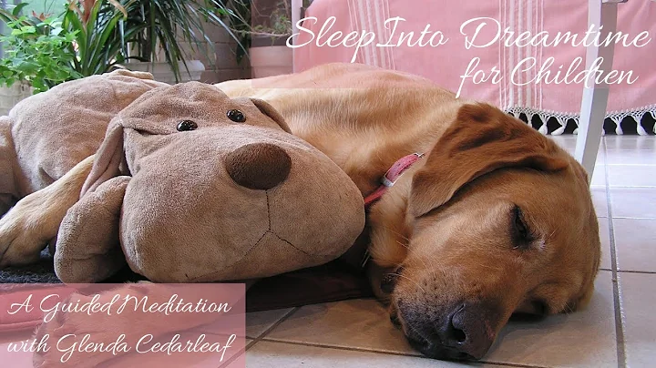 Sleep Into Dreamtime: A Guided Meditation for Chil...