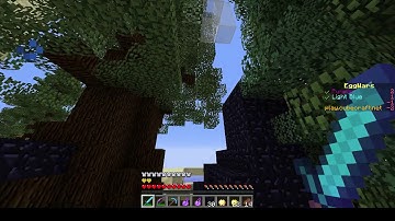 Cubecraft Hacker Forest Eggwars