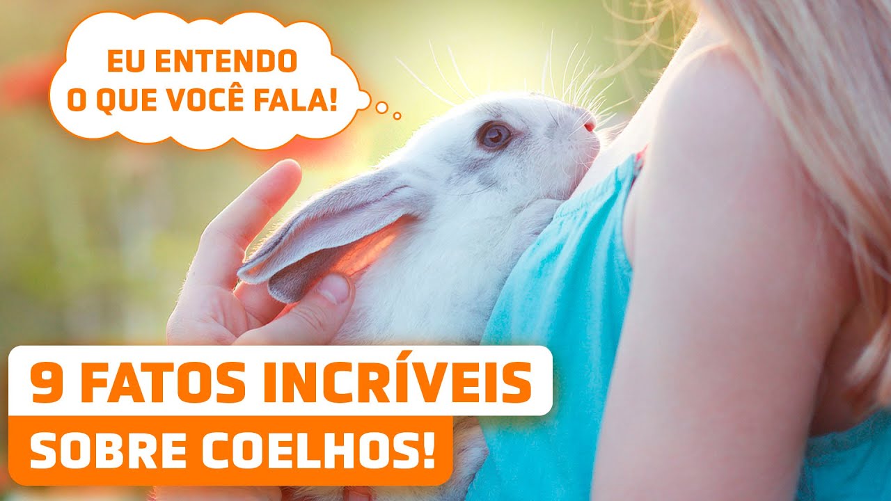 9 CURIOSIDADES INCRÍVEIS SOBRE COELHOS e suas características especiais