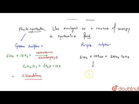 वीडियो: रसायन संश्लेषक जीवाणु प्रकाश संश्लेषक जीवाणु से किस प्रकार भिन्न हैं?