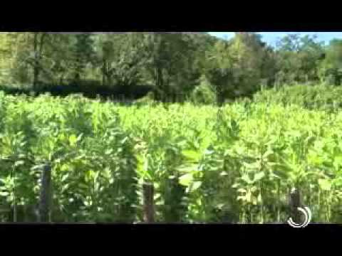 ერთი დღე სოფელში 2 12 2014