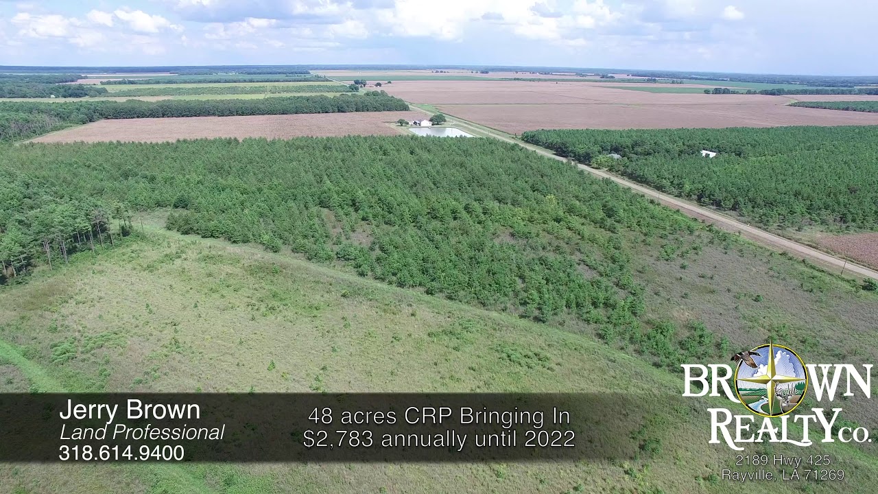 143 acres for sale in West Carroll Parish, LA YouTube
