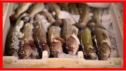 Brexit Forensics: Fishing industry could be hung out to dry