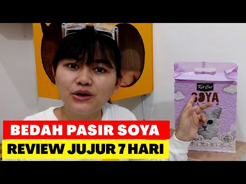 Video: My Cat Disetujui: Merek Kucing Alami Terbaik