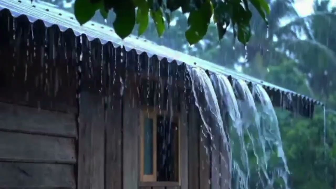 Heavy Rain in the Countryside | The Sound of Water Flowing on a Zinc Roof for Relaxation& Meditation