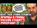 Бесит! Огурцы и грибы России ставят рекорды урожайности!