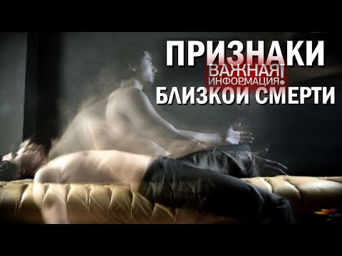 Видео: Факты о табби-котах