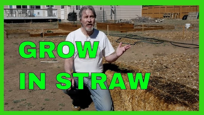 4 Reasons To Grow Veggies In A Straw Bale Garden 